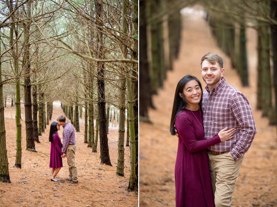 Columbia Woodlands Engagement pictures in trees