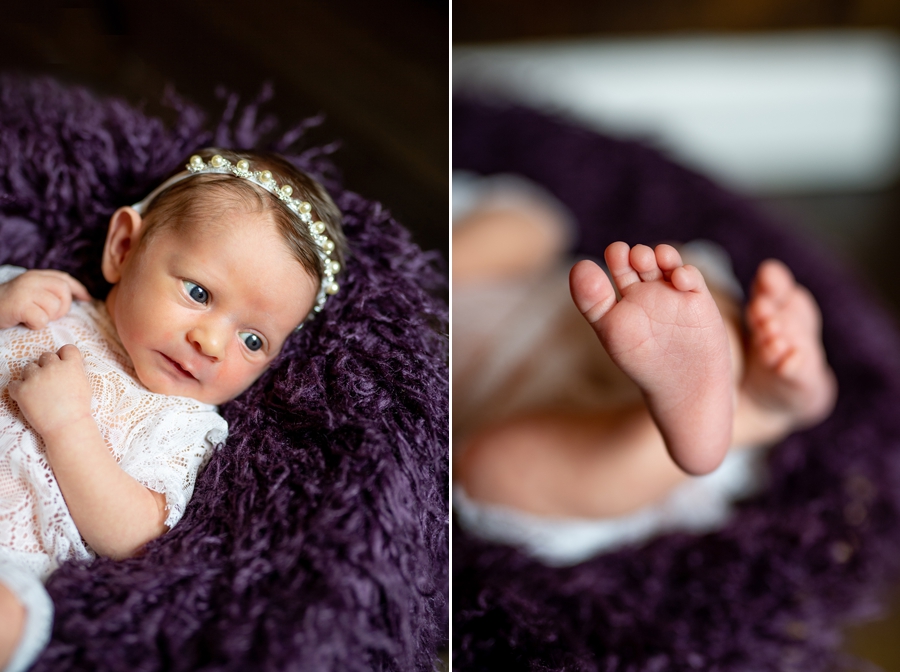 purple newborn photos 