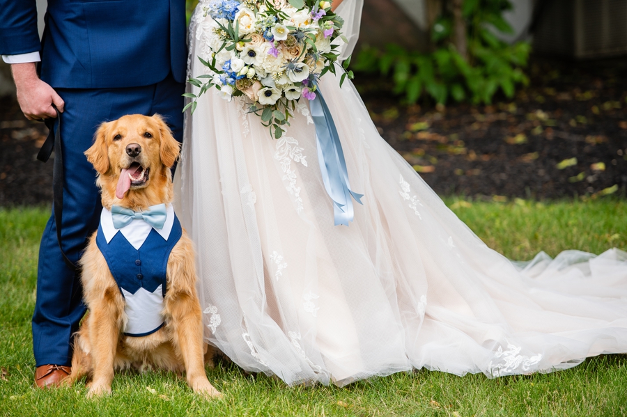 dog in wedding party 