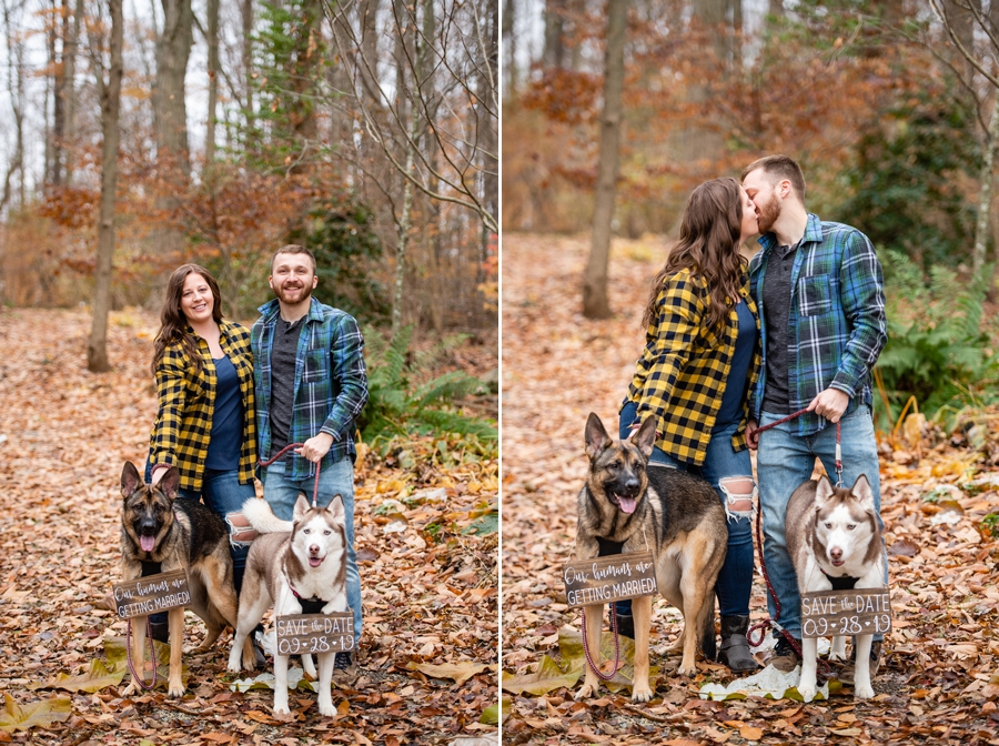 engagement session with dogs 