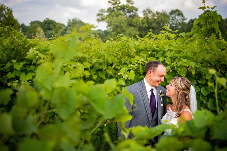 Gervasi Vineyard Wedding vines