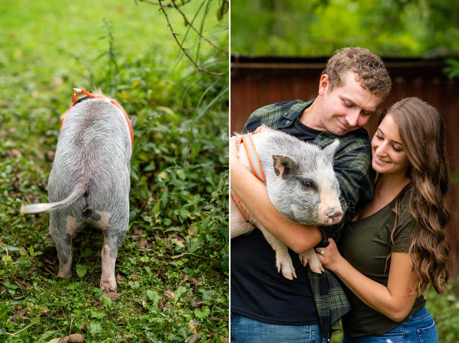 country engagement session with pot belly pig