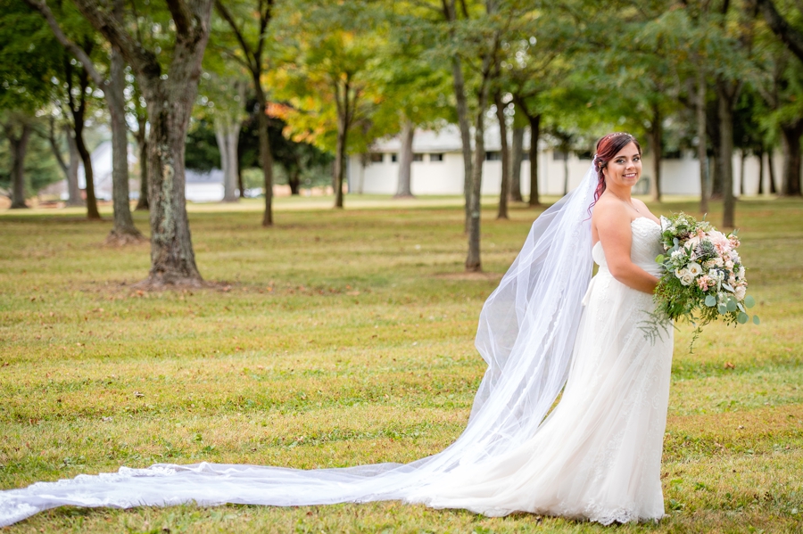bride's veil 
