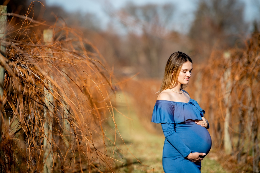 blue dress maternity photo 