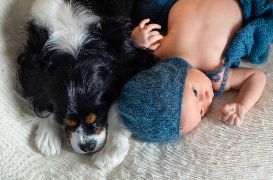 dog and baby at Fairlawn Newborn Session