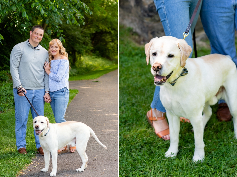 dog engagement pictures 