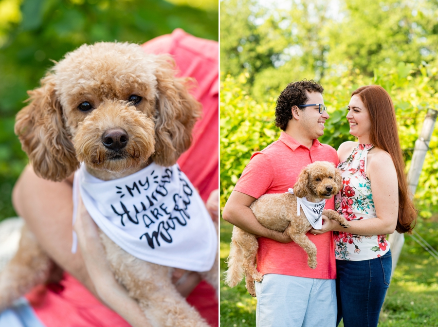  engagement session with dog canton ohio 