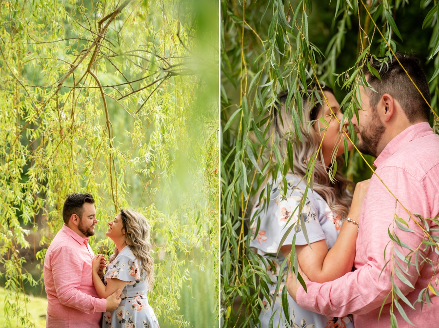 willow tree engagement photos 
