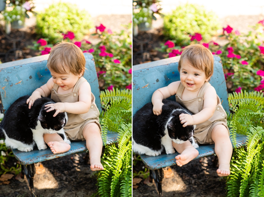 boy and cat pictures 
