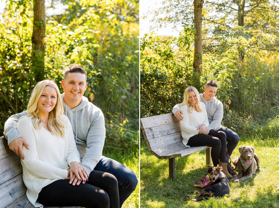 Tallmadge Meadows engagement session with dogs 