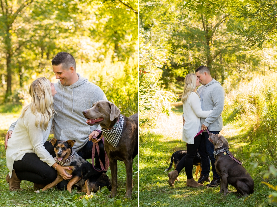 dogs in engagement session 