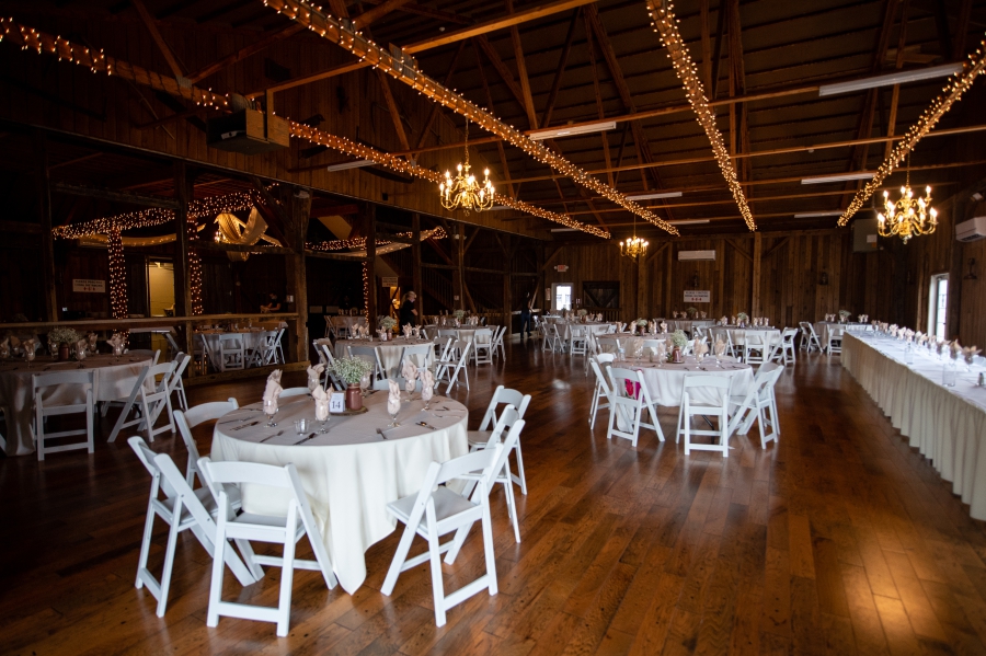 Brookside Farm Wedding reception 