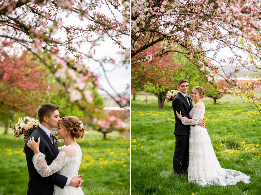wedding portraits with cherry blossoms 
