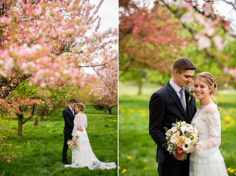 Spring wedding at OARDC Secrest Arboretum 