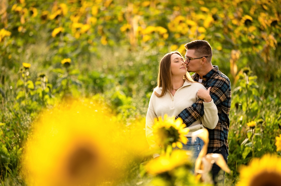 sunflower field at home engagement session