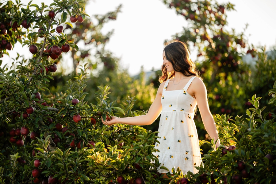 Arrowhead Orchard Senior Session in apple orchard 